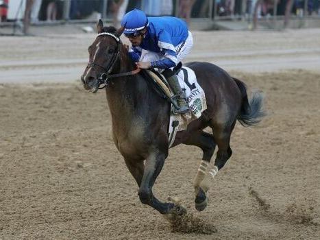 Favorite Sovereignty scratched from Breeders' Cup Classic after fever